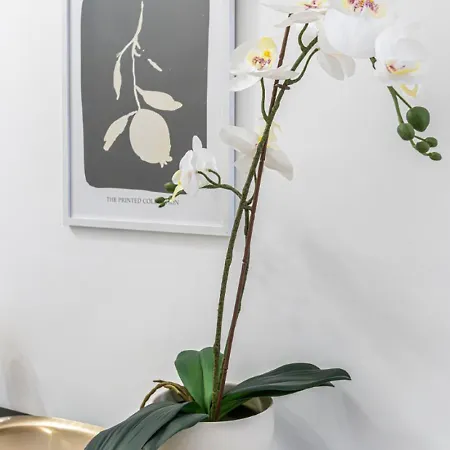 Apartamento 80 Sqm, 3 Bedrooms, 2 Bathrooms, New Budapeste